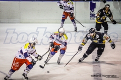 IHL: Hockey Como - Mastini Varese