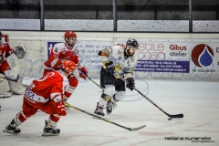 IHL: Mastini Varese - Alleghe Hockey