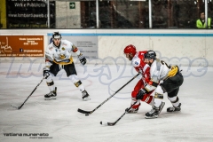 IHL G12: Mastini Varese - Alleghe Hockey