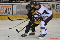 Continental Cup (Finali): Nottingham Panthers - Odense Bulldogs