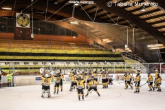 IHL QFP3 Varese  - Caldaro