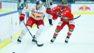 L’HCB Alto Adige Alperia, dopo 6 punti pesanti ottenuti grazie alle vittorie di misura a Klagenfurt e Fehervar, si prepara a tornare sul ghiaccio per affrontare tra domenica e martedì […]